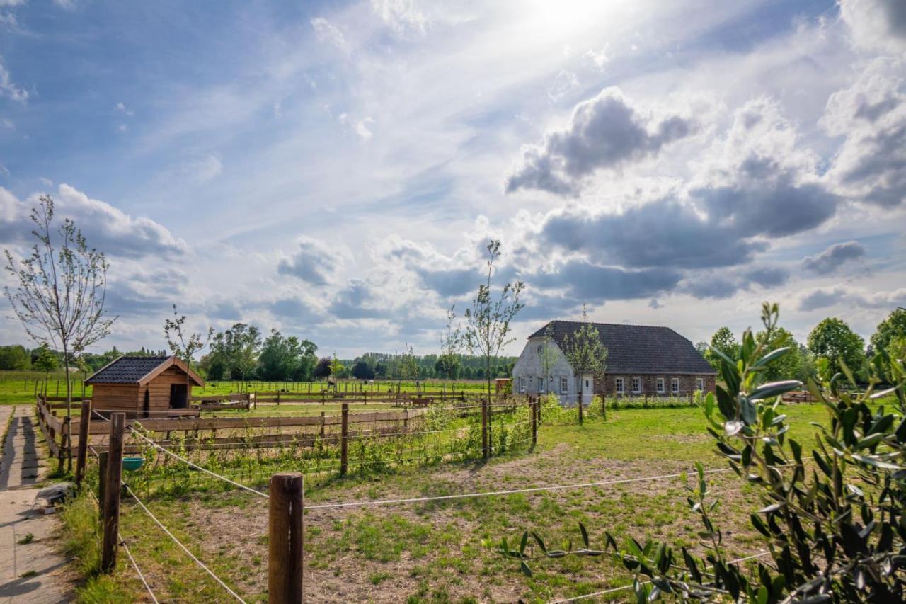 B&B Hoeve Klein Haneveld Sint-Oedenrode Exterior foto
