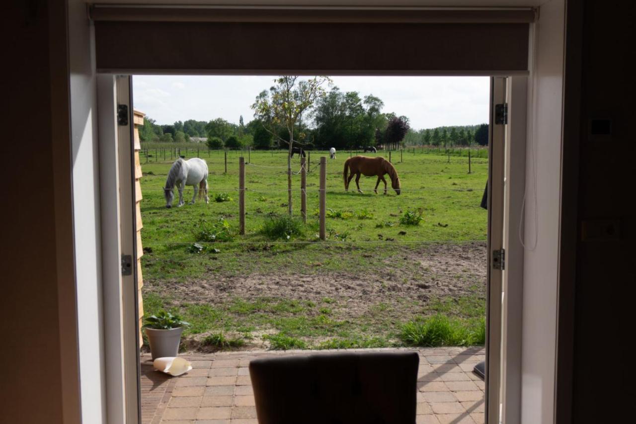 B&B Hoeve Klein Haneveld Sint-Oedenrode Exterior foto